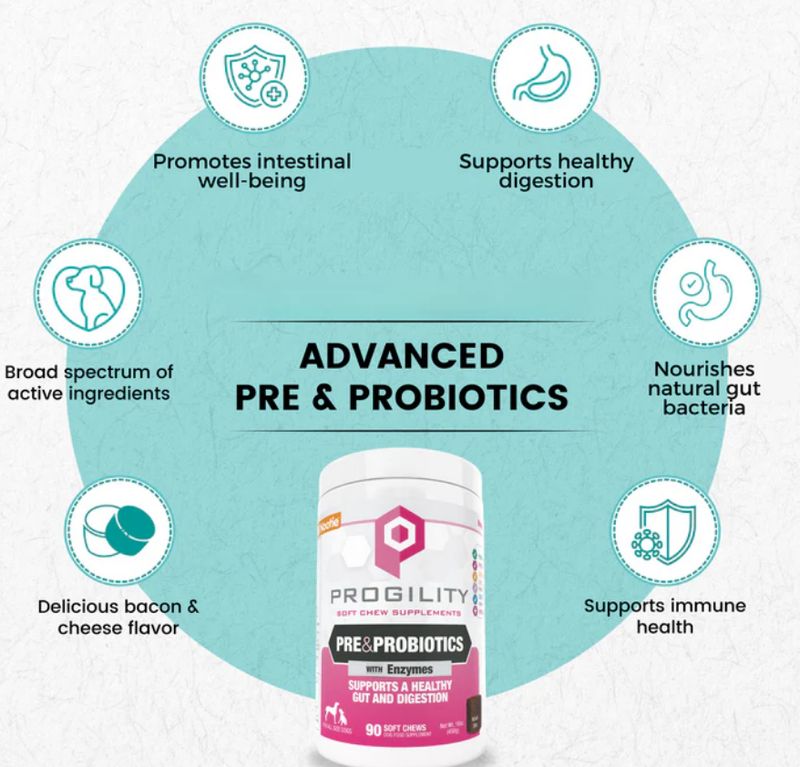 NOOTIE PROGILITY 90CT DIGESTION SUPPORT