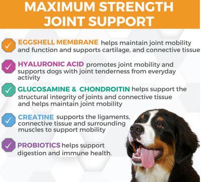 NOOTIE PROGILIGTY MAX 60CT