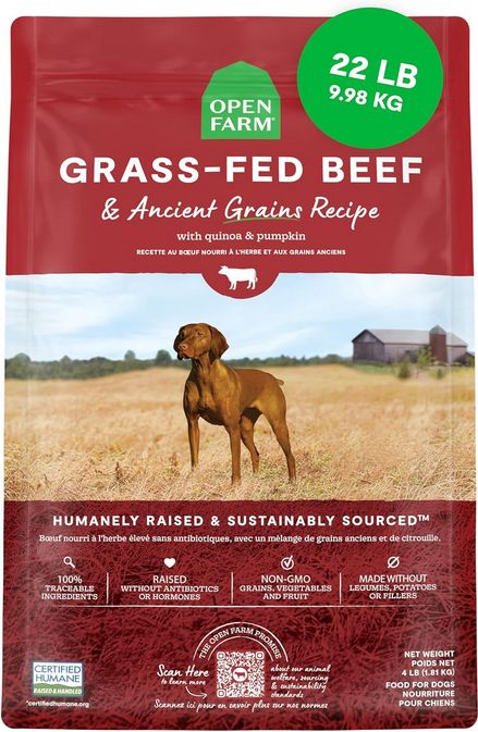 OPEN FARM DOG 22# ANCIENT GRAINS BEEF