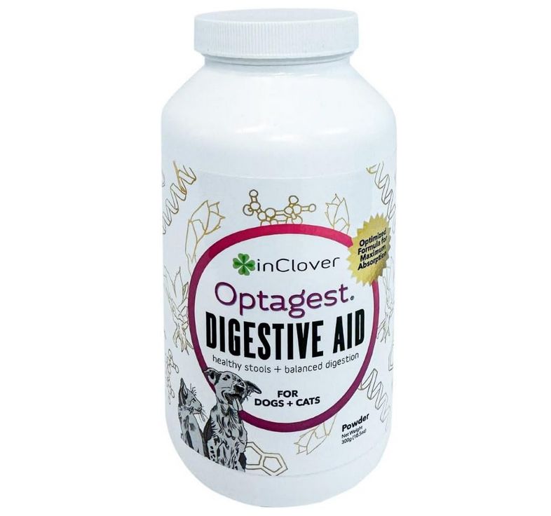 IN CLOVER OPTAGEST DIGESTIVE AID 100gm