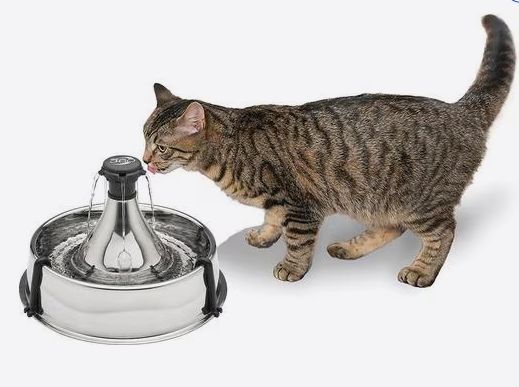 PETSAFE FOUNTAIN 360 STAINLESS 128OZ