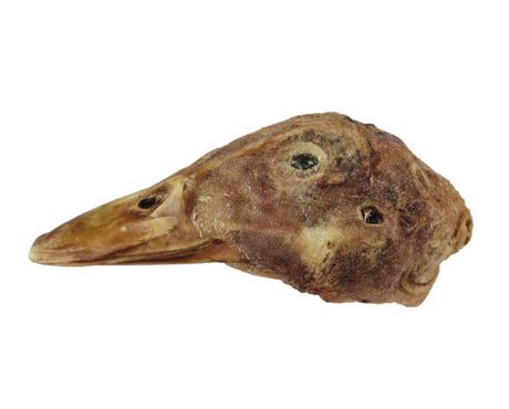 DUCK HEAD