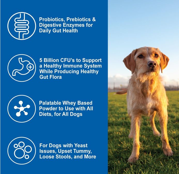 NATURE'S FARMACY DOGZYMES - PROBIOTIC DAILY PROBIOTIC 1#