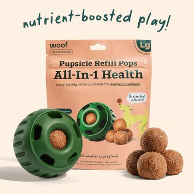 WOOF WELLNESS PB BEEF REFILL LG