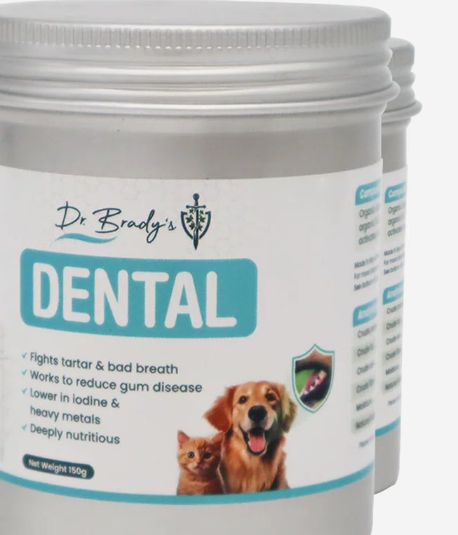 DR. BRADY'S 150G DENTAL PRO CLEAN