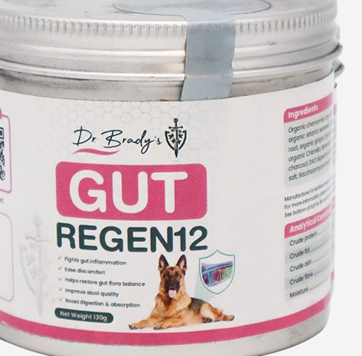 DR. BRADY'S 130G GUT REGEN12