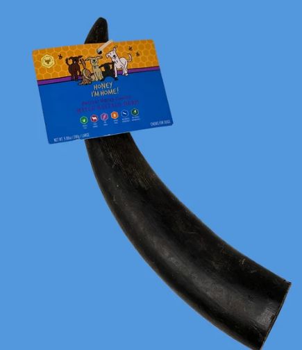 HONEY I'M HOME LARGE WATER BUFFALO HORN