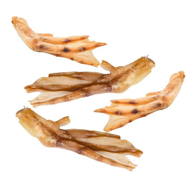 DUCK FOOT