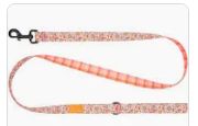 RC PETS 5' DAISY JOY LEASH
