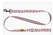 RC PETS 5' CHERRY PICNIC LEASH