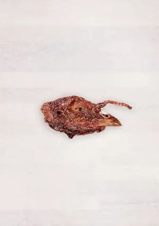 TURKEY HEAD