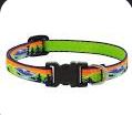 LUPINE 1/2 PIXEL PARTY 10-16" COLLAR