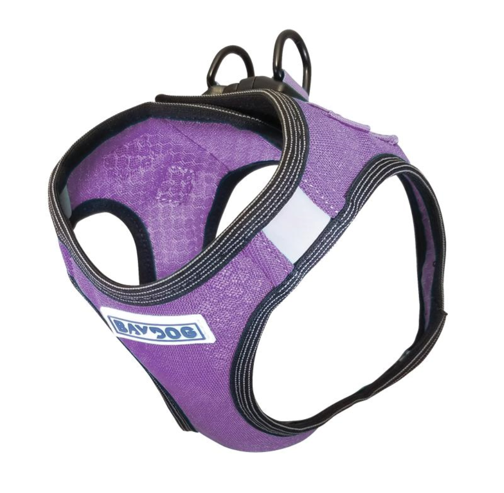 BAYDOG LIBERTY HARNESS VIOLET SMALL