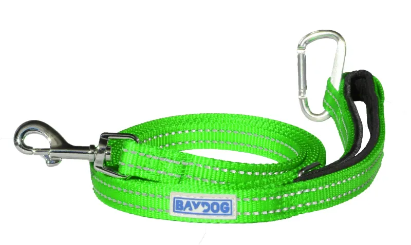 BAYDOG PENSACOLA LEASH 6' KEY LIME