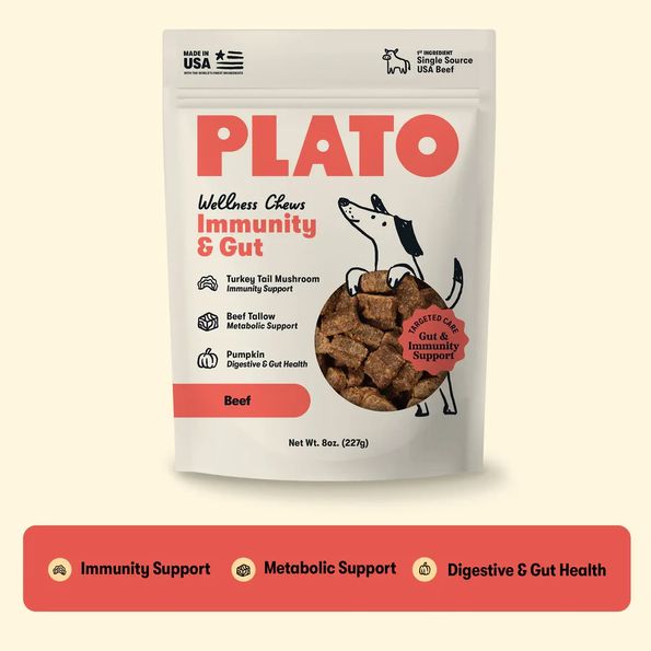 PLATO DOG 8OZ WELLNESS CHEWS IMMUNITY &amp; GUT HEALTH