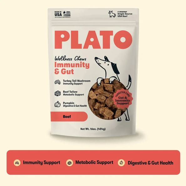 PLATO DOG 16OZ WELLNESS CHEWS IMMUNITY &amp; GUT HEALTH