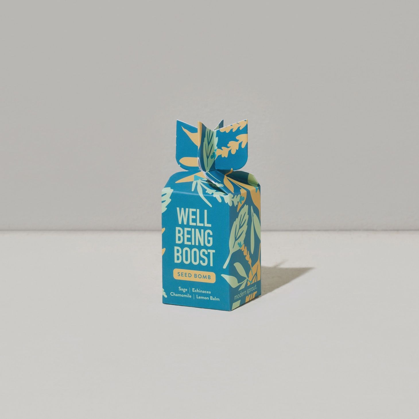 Seed bomb - Well Being Boost