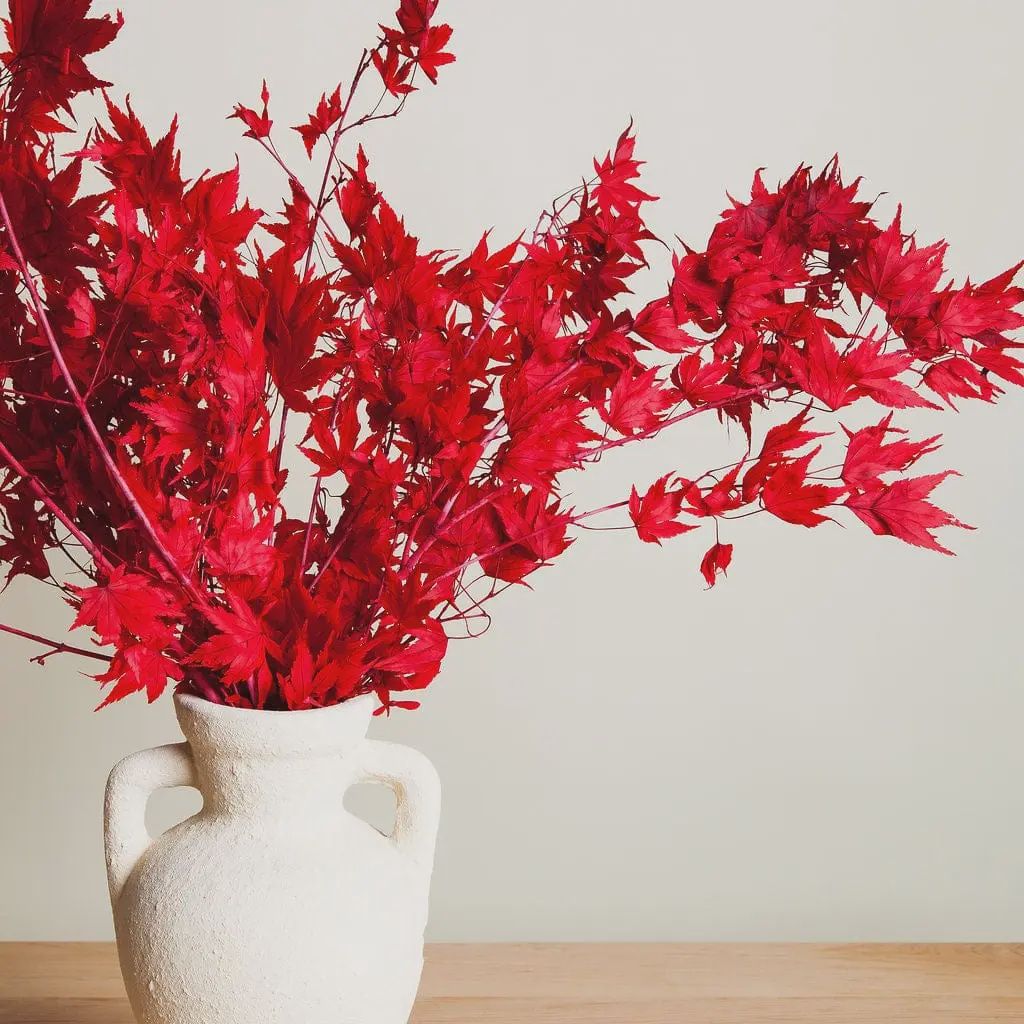 Preserved Red Japanese Maple Branches