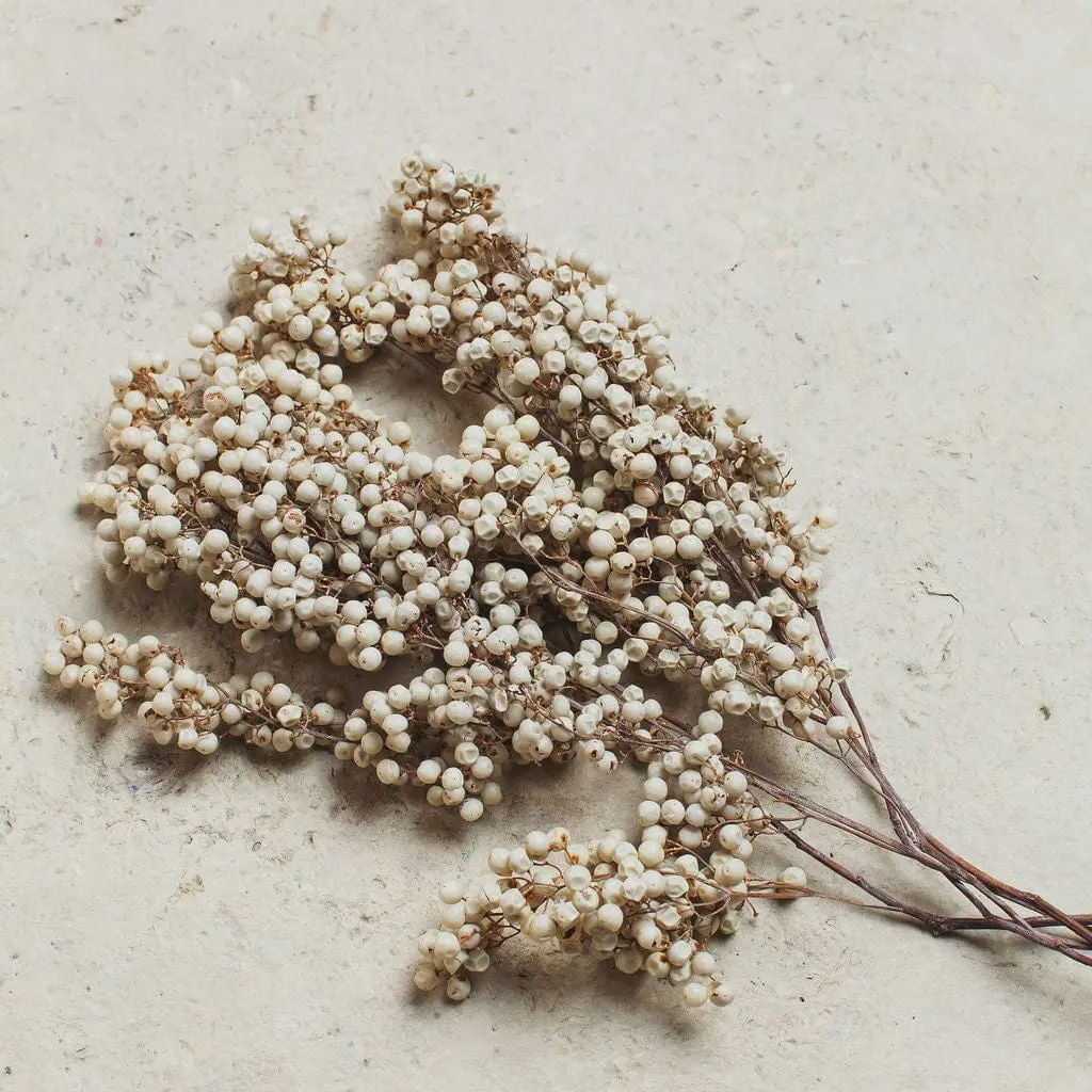 White Preserved Pepperberry