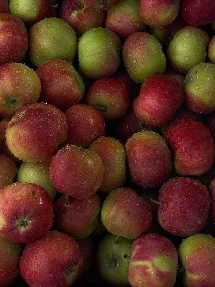 McIntosh Apple Candle