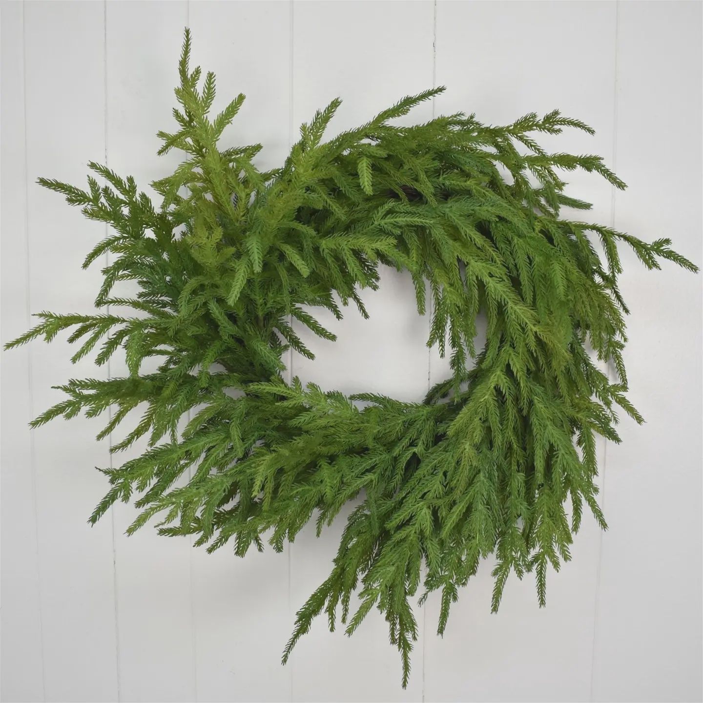 24” Natural Touch Norfolk Pine Wreath-Real Touch