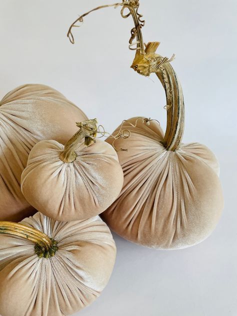 Velvet Pumpkin Candle