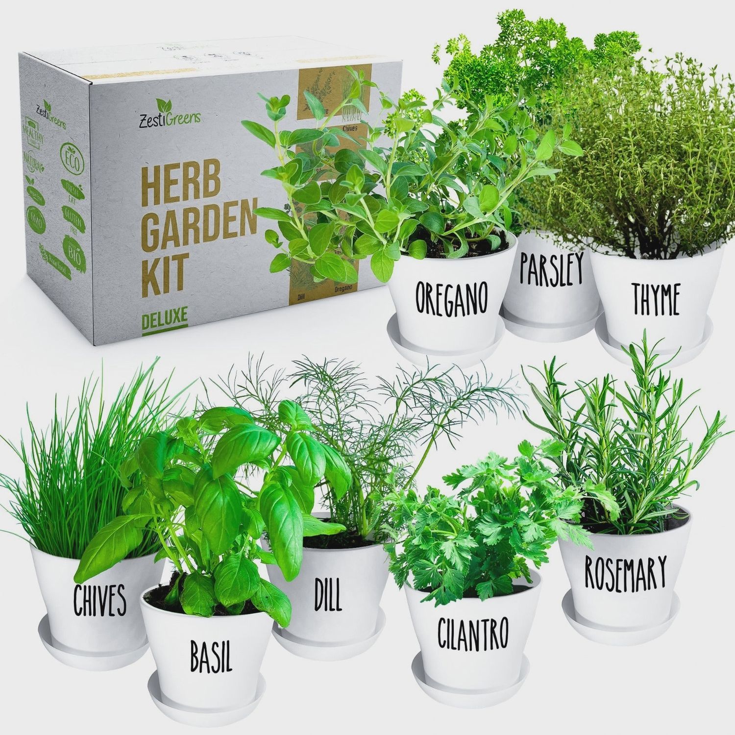 8 Herb Garden Kit | ZestiGreens