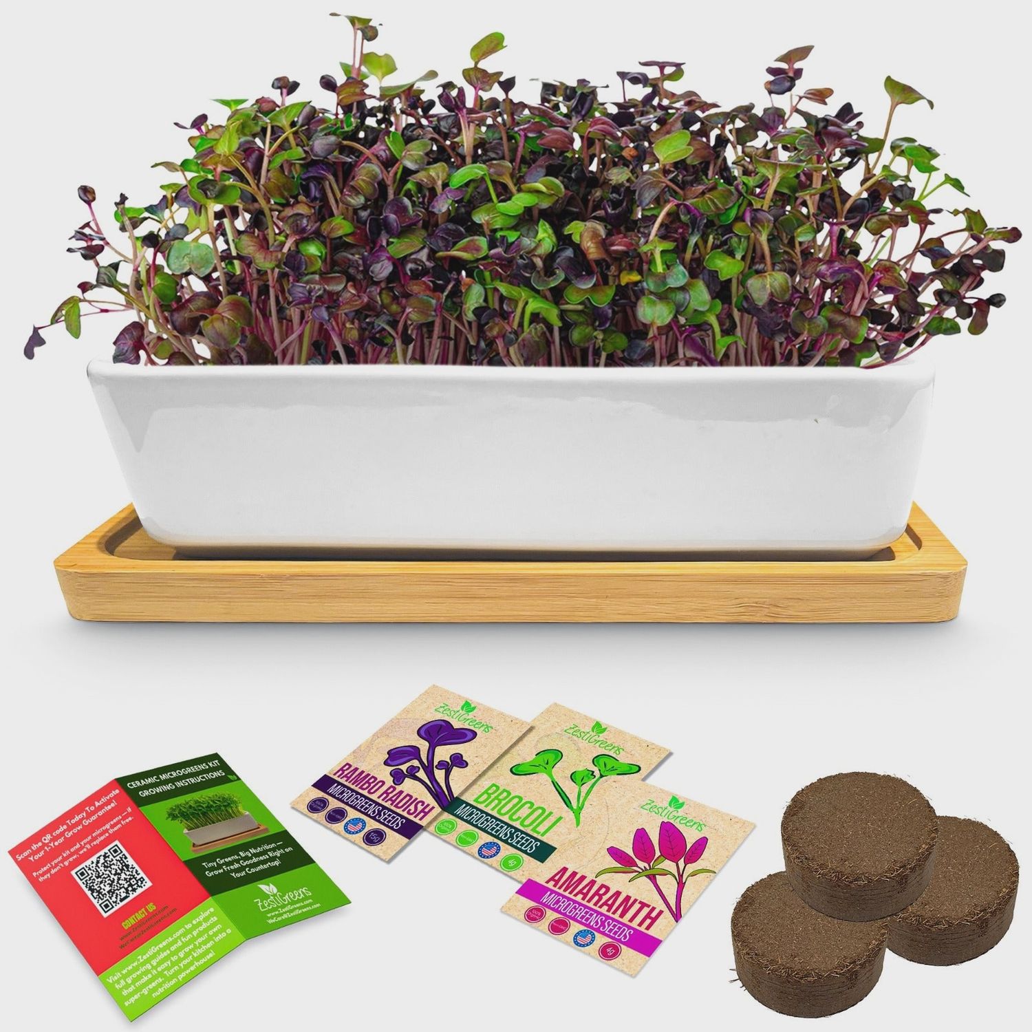 Ceramic Microgreens Growing Kit | ZestiGreens