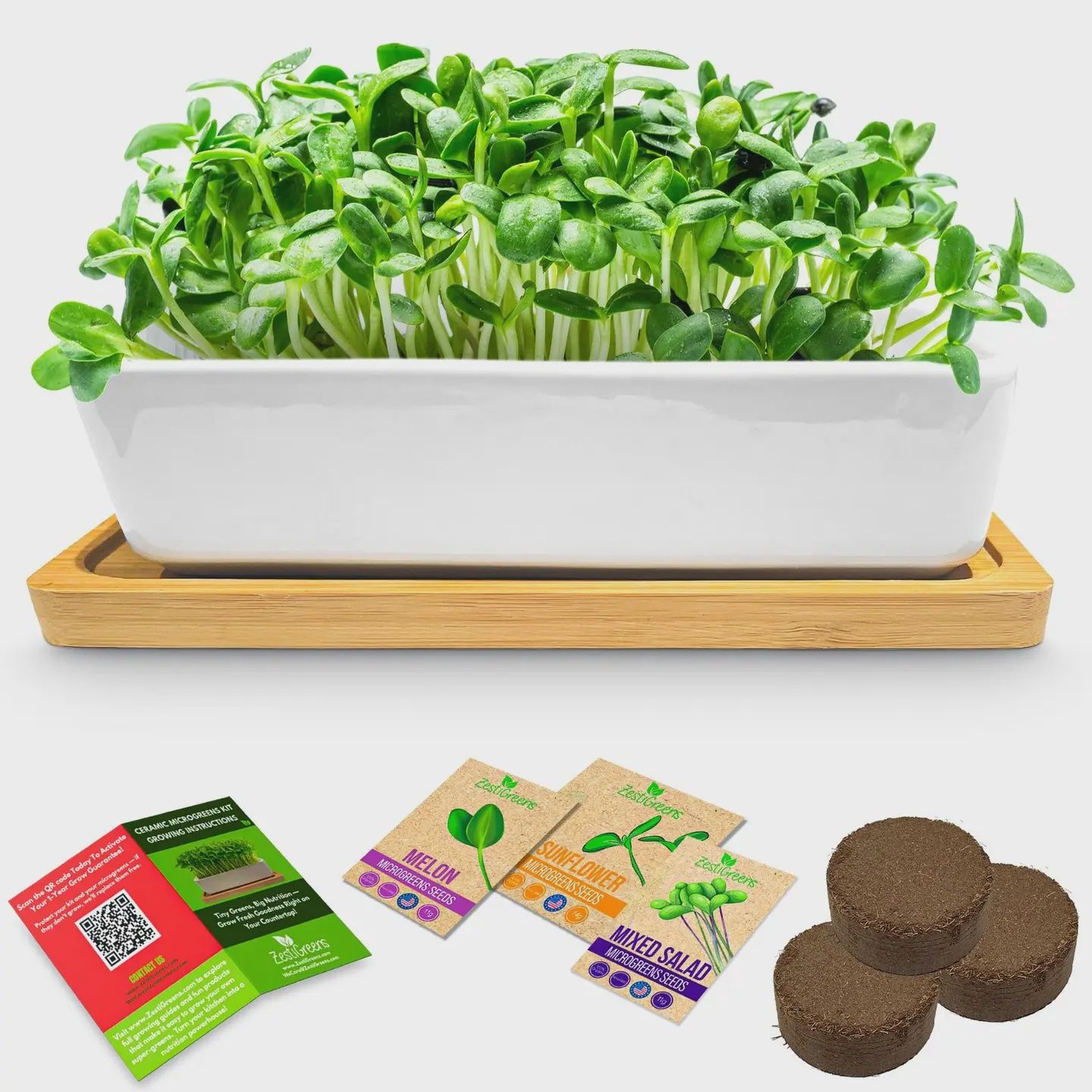 Ceramic Microgreens Growing Kit | ZestiGreens, Type: Melon, Sunflower, Mixed Salad