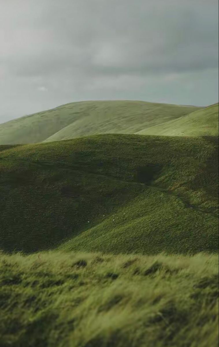 Sweet Grass Home Fragrance