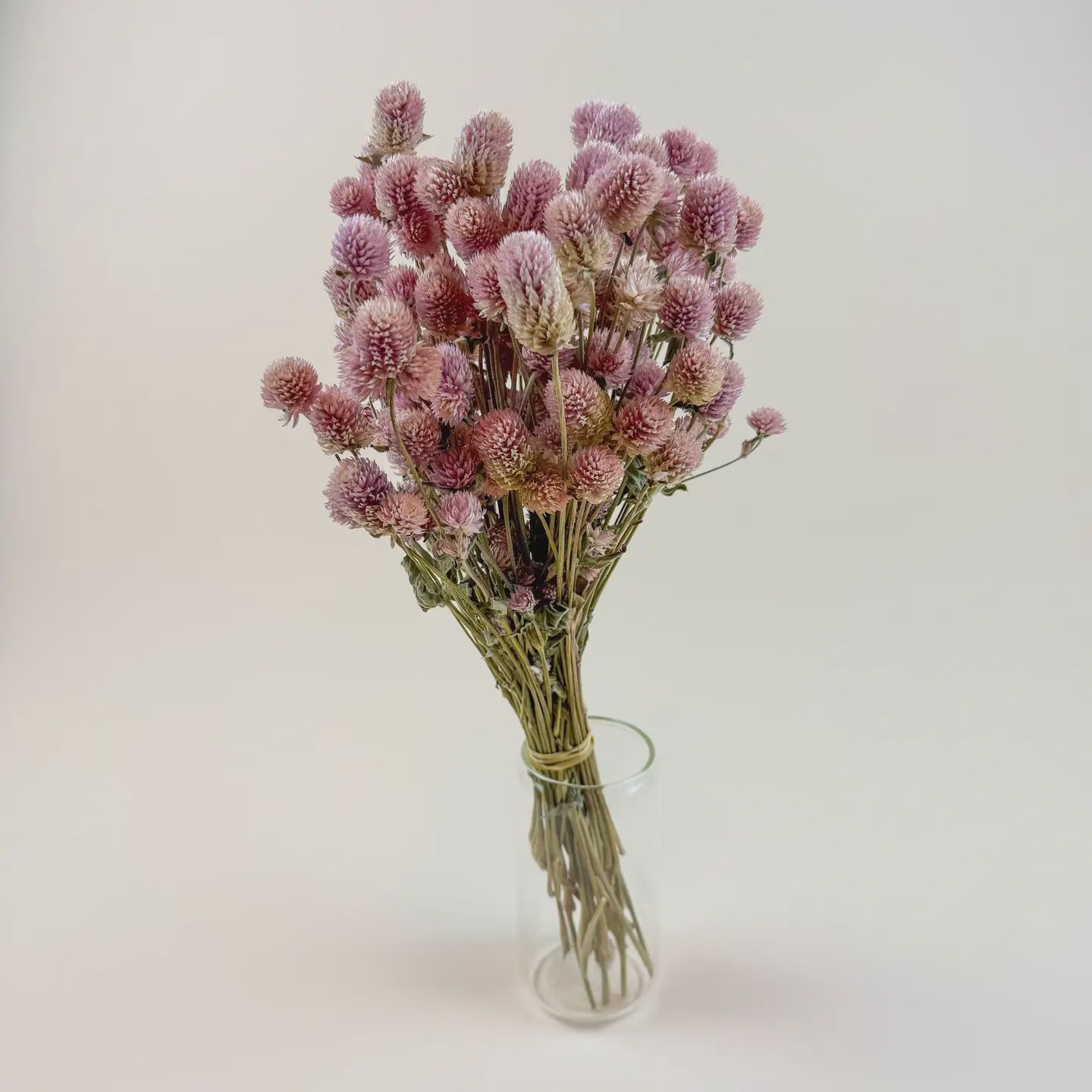 Blush Pink Globe Amaranth – Naturally Dried Flowers