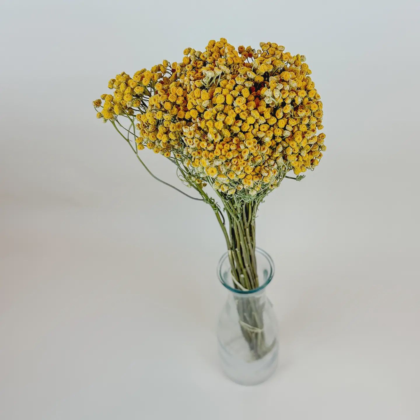 Yellow Tansy - Naturally Dried Flowers