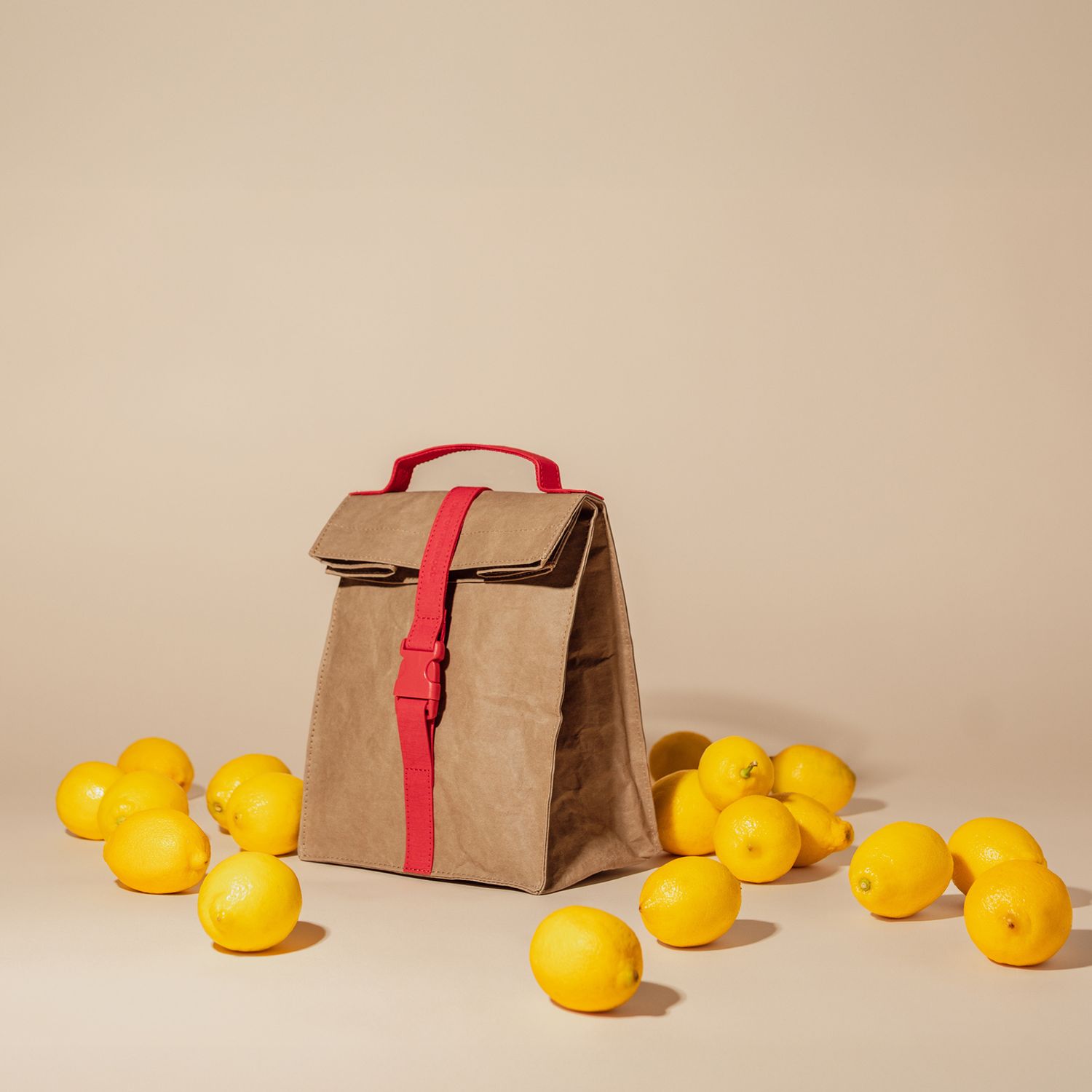 Paper Sack Lunch Cooler, Eco Lunch Box - SMALL CASE PACKS