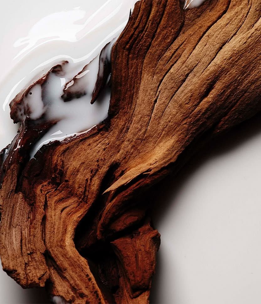 Santal + Coconut Home Fragrance