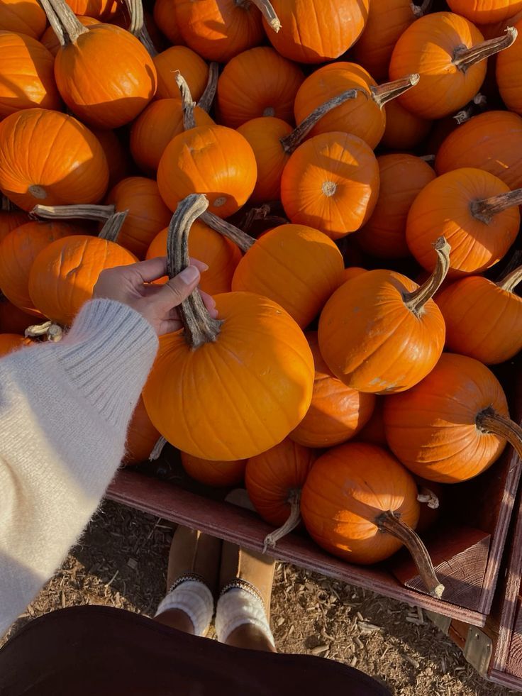 Giving Pumpkin Home Fragrance