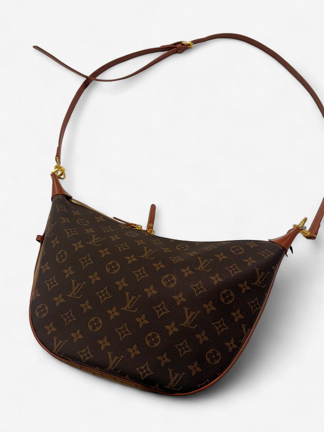 LV Loop Monogram Canvas Bag