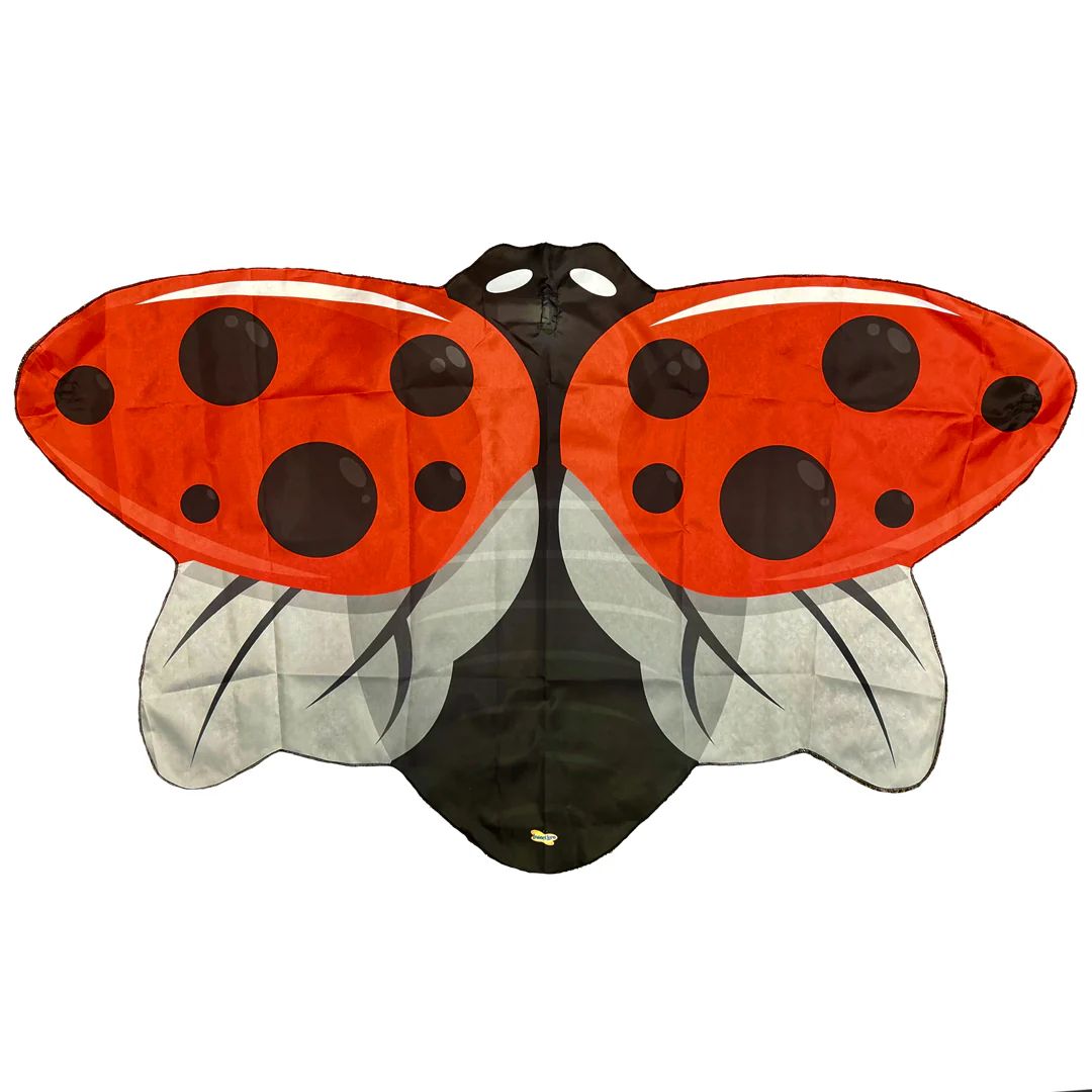 Red Ladybug Wings