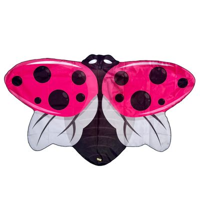 Pink Ladybug Wings