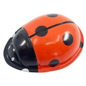 Click-Clack Ladybug