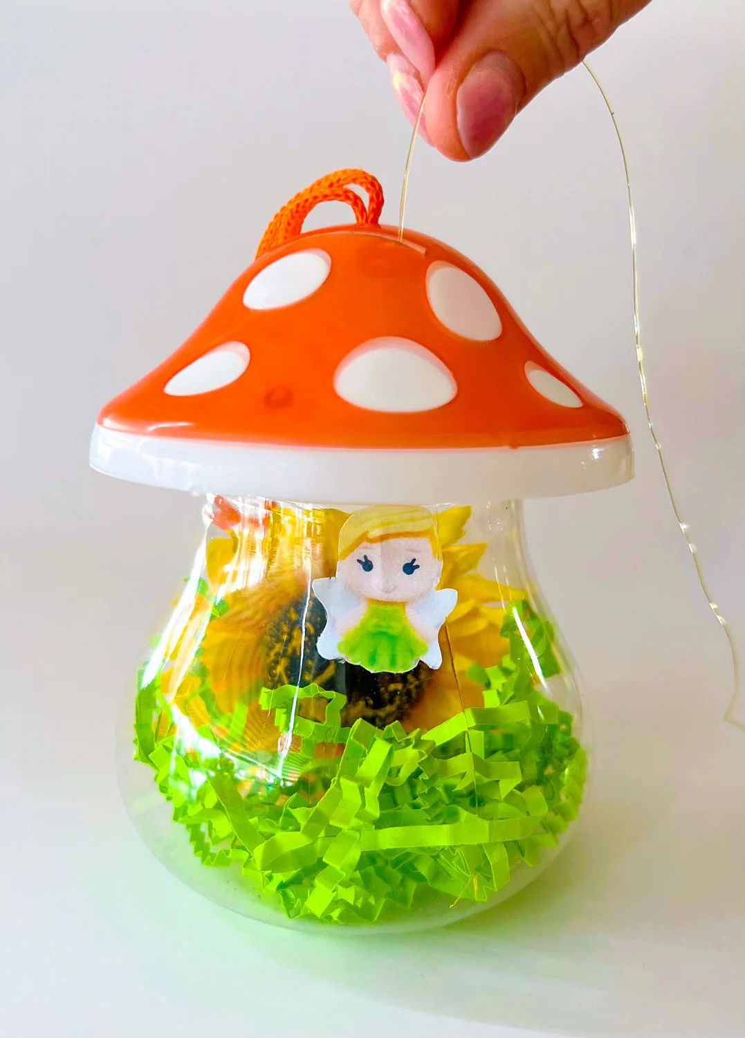 Surprise Fairy Garden