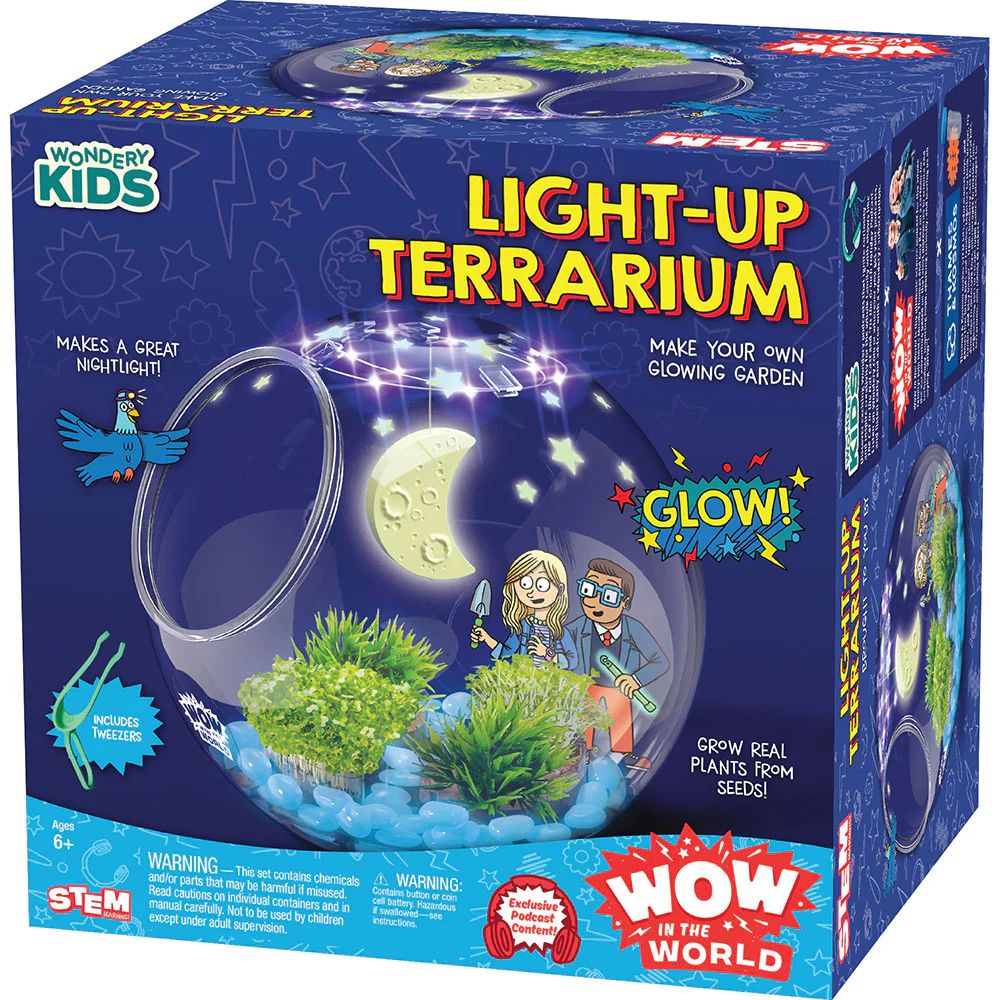 Light-Up Terrarium