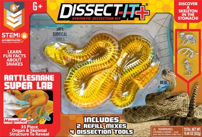 Dissect It+ - Rattlesnake