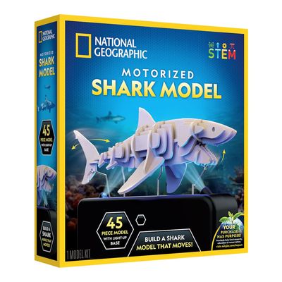 Motorized Shark Model