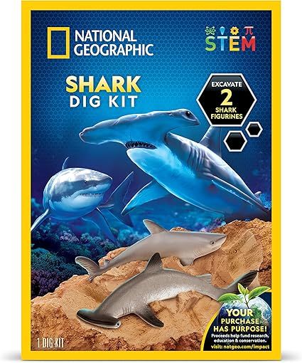 Shark Dig Kit