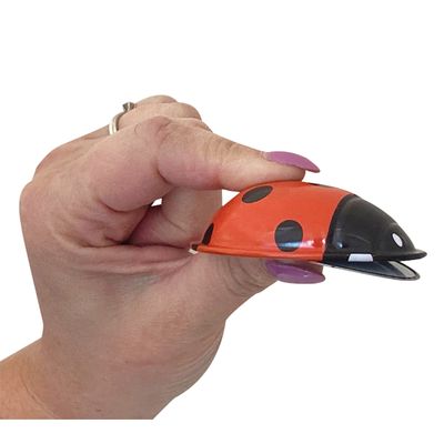 Click-Clack Ladybug