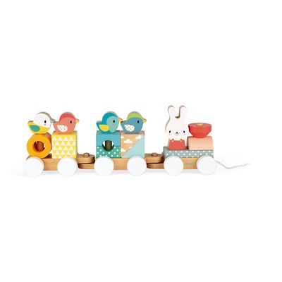 Wooden Train