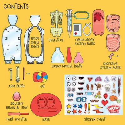 Wow in the World: The Amazing Human Body
