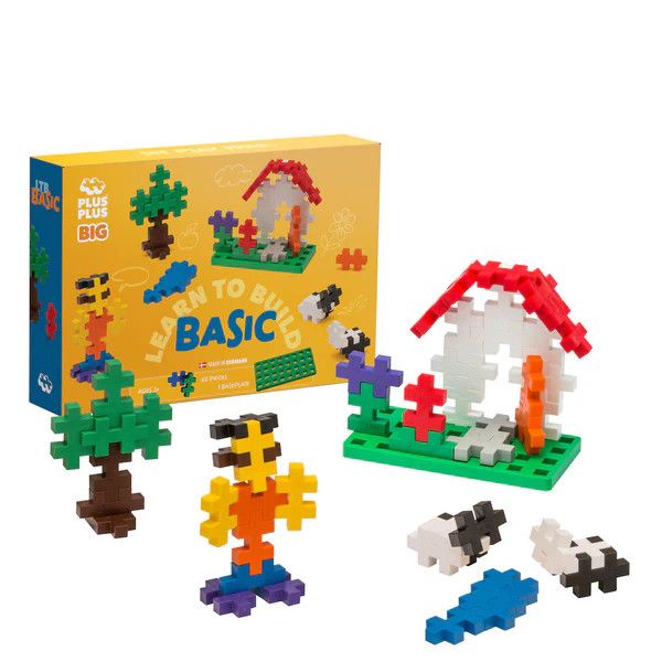 Learn to Build - BIG Basic