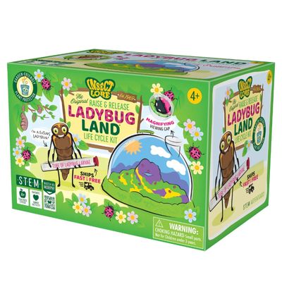 Ladybug Land