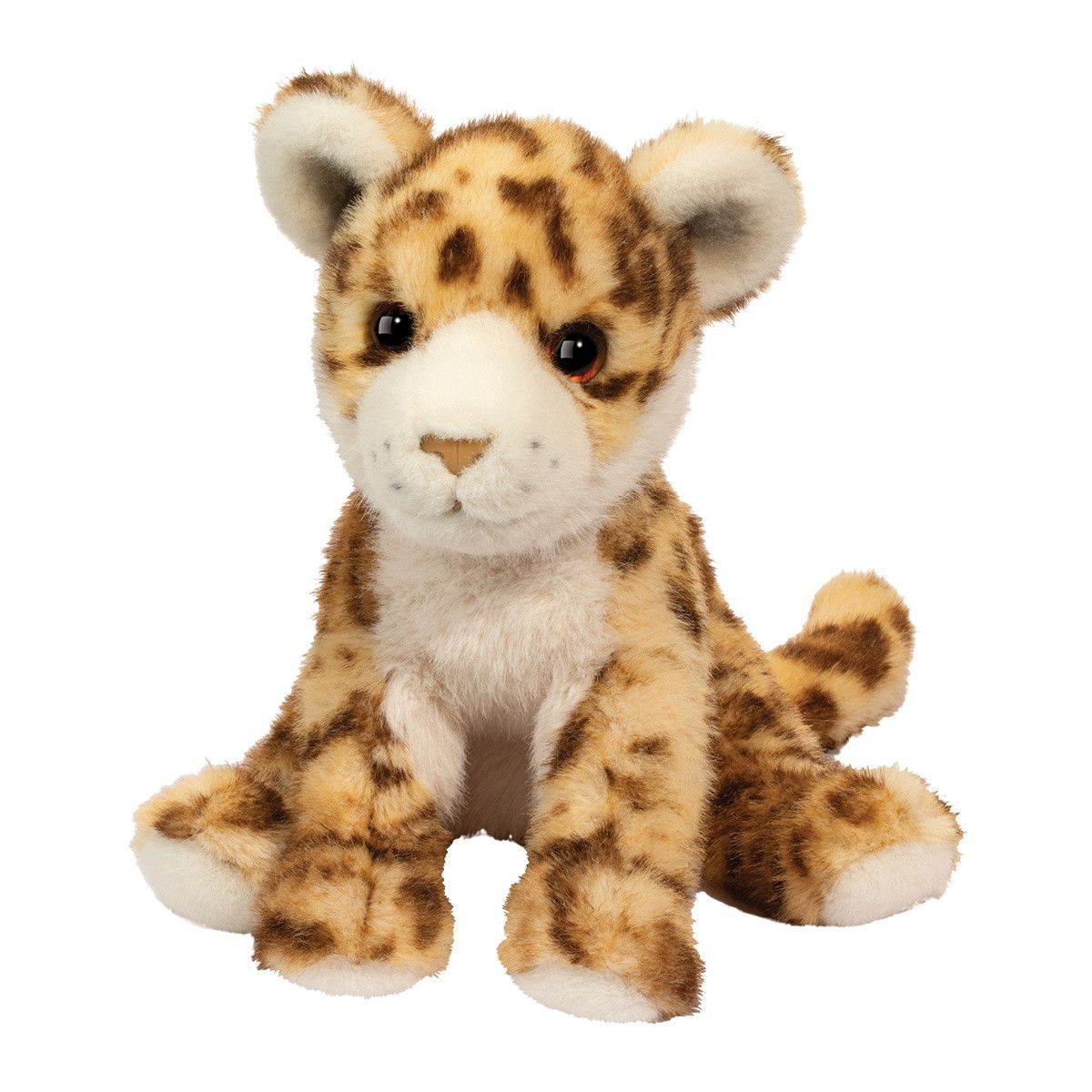 Scrappie Wild Cat